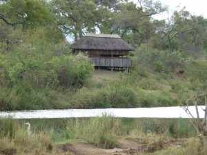 Krugerpark natuurreis 2018 met als thema: Ode aan het Krugerpark