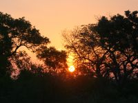 kruger-22-oktober-2012-069