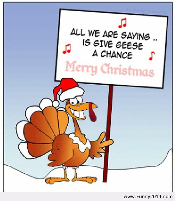 funny-merry-christmas-quotes-mw2fbmfhf - Krugerpark Wildlife Afrika