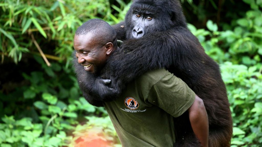 verborgen rijkdommen van Congo, zegen of vloek?